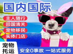 白城航空托运国际宠物托运 【国